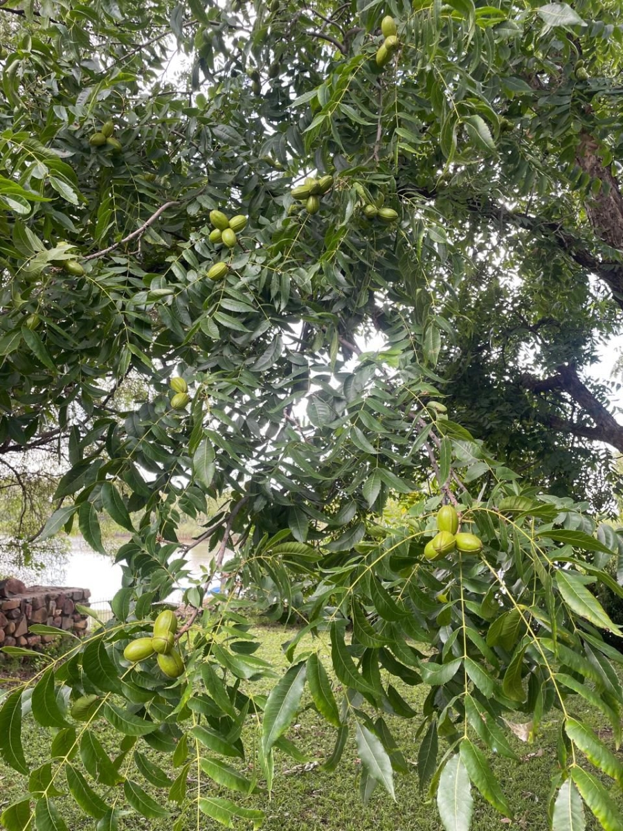 5 Bedroom Property for Sale in Christiana North West